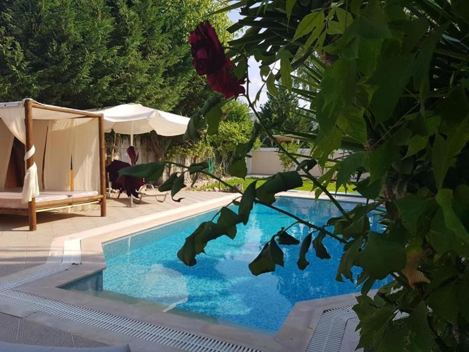 Villa Adonis With Private Pool By Lefkadastay المظهر الخارجي الصورة