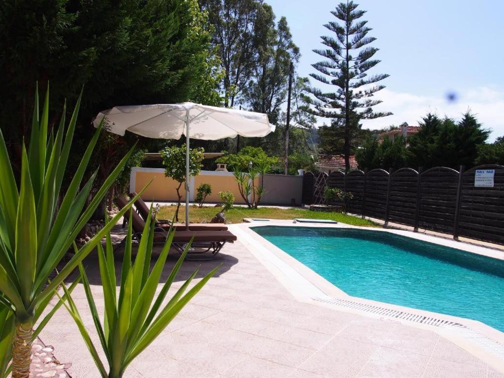 Villa Adonis With Private Pool By Lefkadastay المظهر الخارجي الصورة