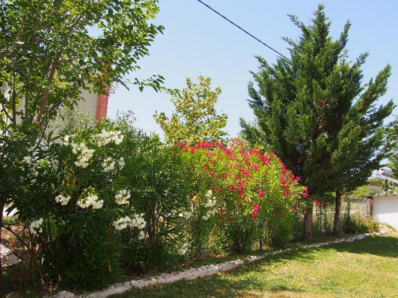 Villa Adonis With Private Pool By Lefkadastay المظهر الخارجي الصورة